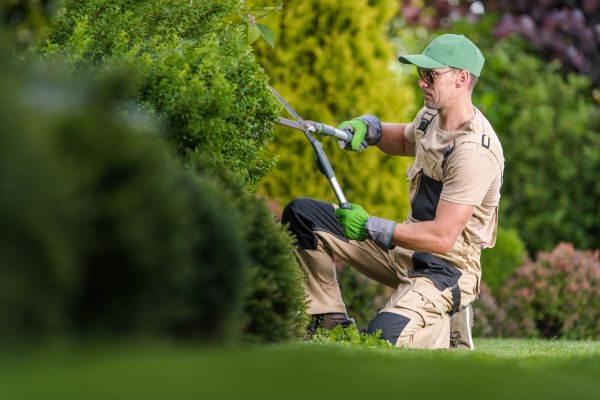 Serviço de Jardinagem Terceirizado